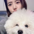 써니문구 이미지