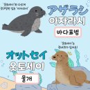 나카미치, 수족관, 기념품, 펭귄퍼레이드, 물개쇼, 돌고래쇼, 가오리, 곤로불고기이소노상점, 야끼니쿠)