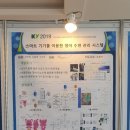 캡스톤 메디컬 이미지