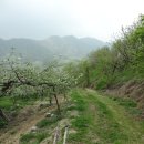 이동마을회관 이미지