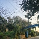 호룡곡산 구름다리 | 인천 무의도 호룡곡산 백패킹 30분 코스!