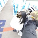 위시 따라 목포 간다