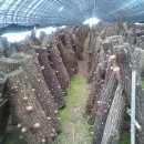 열린농장 이미지