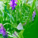 삼주1공인중개사사무소 이미지