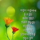 행복의샘(주) 이미지