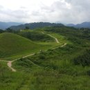 함안 말이산고분군 이미지