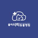 한수24시동물병원 이미지