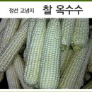 정선아리아리원 이미지