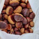 알밤농장 이미지