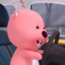 애버그린 이미지