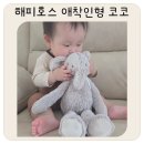 해피코코 - 동구 산내로 1338-1 | 마더케이 해피호스 애착인형 코코 코끼리 후기 네덜란드 프리미엄 국민애착인형 추천
