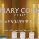 피닉스짐 이미지