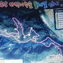 22,6,10 원주 섬강 자작나무 숲 둘레길 이미지