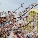 마음연정신건강의학과의원 이미지