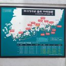 천사벽화마을 | 여수 나 홀로 여행 추천 가볼 만한 고소동 천사 벽화마을