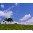 태화 목장 이미지