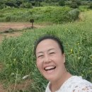 비앤알제주