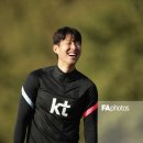 해피쿼카
