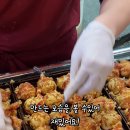 하치타코야끼 이미지