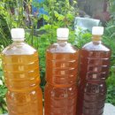 김동석농장 이미지