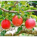 봉화파출소 이미지