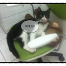 리즈동물병원 이미지