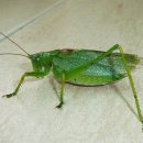 앤미장원 이미지