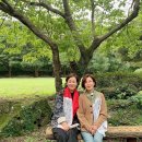 선희 이미지