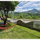 이맛이딱이야 이미지