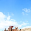 풍전목장 이미지