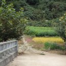 땅벗 공인중개사사무소 이미지
