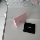 달리아 - 김해시 인제로 433 | 프라다 블러셔 달리아 발색 후기(+미니 퍼프)