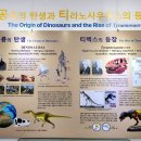 지질박물관 이미지