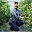 대저농협 산지유통센터 이미지