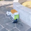 부산야생동물치료센터 | 부산 야생동물 치료센터로 새끼까마귀를 보내다