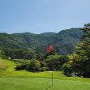 에버리오골프클럽 이미지