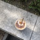 이디야을지 이미지