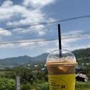 커피명가 청도점 | 청도 커피명가 청도점 , 넓은부지 멋진뷰 청도여행코스로 딱 좋은 베이커리카페 후기