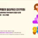 카카오일 매일경제