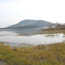 청호여관 이미지