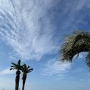 소노캄제주WEST동 | 🌴 제주 소노캄 제주 리조트 숙박 솔직 후기(9.17~19) ✨ (슈페리어 스탠다드 패밀리트윈)