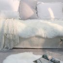 데이지 하우스 이미지