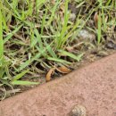 익산시청 | 익산 시청 근처 우스면 내돈내산 후기 - 25.05.16