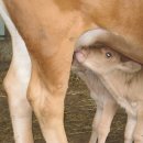 차오름농장 이미지