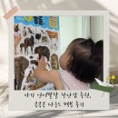가나다악기 | 아기 언어발달 장난감 추천, 콕콕콕 사운드 벽보 내돈내산 사용 후기