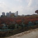 코아루부자공인중개사사무소 이미지