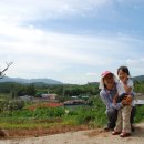 삼화마을 이미지