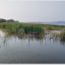 초정낚시터 이미지