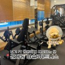 H 피트니스 | 세종대헬스장 머슬H휘트니스 군자PT 추천