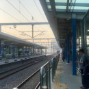 20190525 자이언트 설악그란폰도 (내 스페셜보급...)